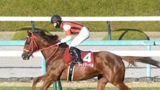 【阪急杯展望】実績上位のウインマーベルが中心