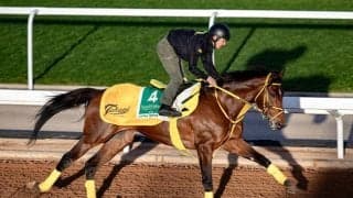 ウシュバテソーロ騎乗の川田騎手「とても雰囲気良く来れている」 サウジC出走予定馬の近況