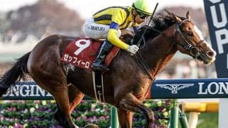 カタールに遠征していた日本馬3頭が帰国
