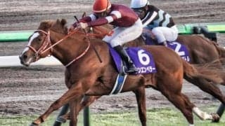 【弥生賞ディープ記念想定】シンエンペラー、サンライズジパングなど12頭