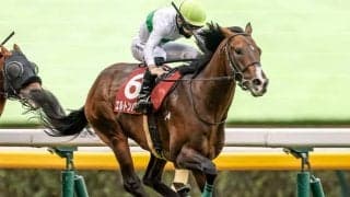 芝1800mはベスト距離 中山記念でエルトンバローズが重賞3勝目狙う