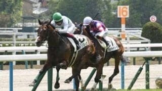 【中山記念予想】AIもイチオシの一頭 どの面から見ても不安要素見当たらず！