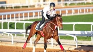 【サウジカップデー】日本出走馬一覧…フォーエバーヤングなど有力馬が集結