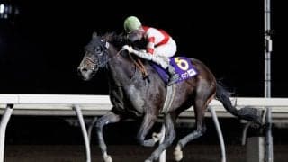 ゴライコウの競走馬登録抹消