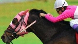 “2月29日”の中山記念・阪急杯から20年 サクラプレジデント×武豊騎手躍動など回想