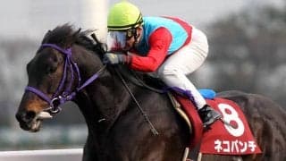 2/22は猫の日！ ネコパンチなど競馬界と「ネコ」の関係を深堀り