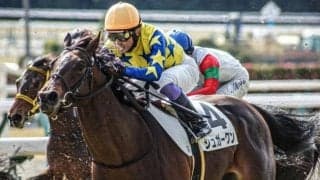 GI7勝キタサンブラックの半弟 武豊騎手を背に必勝期す2戦目へ