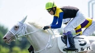 ソダシ＆ママコチャの半弟 白毛一族が初ダートで良血開花なるか