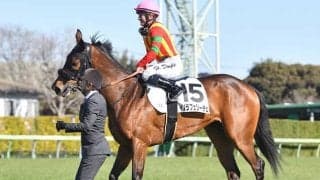 エフフォーリアの半妹が連勝狙う 兄に続くクラシック制覇へデイジー賞参戦