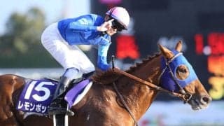 【サウジカップ／血統】アメリカ勢が“連対率33％”で軸候補　4連勝中の父ミスプロ系「レモンポップ制覇なるか」