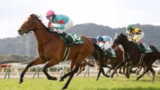 アリーヴォの競走馬登録抹消
