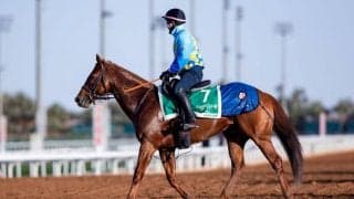 【サウジカップデー】坂井「外枠が良いと思っていた」レモンポップは3番ゲート