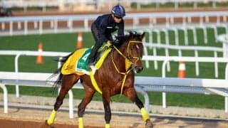 【サウジカップ】ウシュバテソーロは11番ゲート、レモンポップは3番ゲート