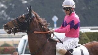 今週がラスト騎乗の川島信二騎手 オースミハルカ最後の仔で勝利なるか