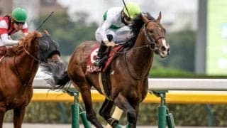 【中山記念枠順確定】ソールオリエンスは2枠3番、エルトンバローズは5枠9番