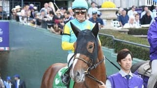 【サウジCオッズ】レモンポップが日本馬最上位 米国のホワイトアバリオが1番人気