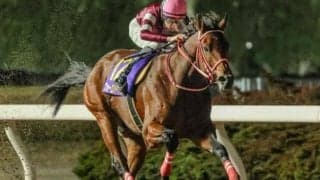 全日本2歳優駿7馬身差Vの実力発揮だ 藤田晋オーナーがサウジダービーで海外重賞初制覇なるか