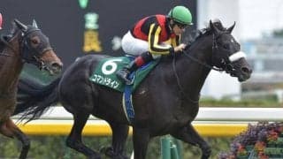 コマンドラインが登録抹消 今後はノーザンファーム天栄で乗馬に