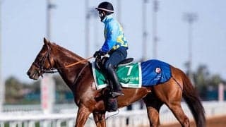 サウジカップの馬券発売開始時刻が決定 インターネット投票は24日の朝7時から