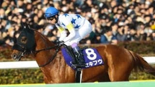 フェブラリーS3着のセキフウが故障 右前浅屈腱炎により9カ月以上の休養見込み