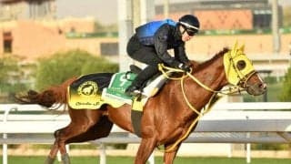 【サウジC】メイショウハリオが出走取消 地元馬のスコットランドヤードが繰り上がり