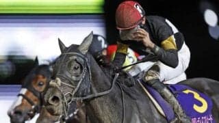 プリティーチャンスが登録抹消 22年レディスプレリュード覇者