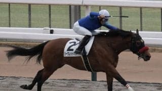 【新馬/東京4R】7番人気シークレットマターが逃げ切る