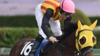 末脚自慢のオーロイプラータ 急坂の阪神なら差し切れる