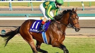 藤田晋オーナーの超高額馬 フォーエバーヤングら勢い付ける初陣Vなるか