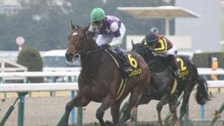 【弥生賞ディープ記念想定馬・騎手】サンライズジパング、シンエンペラーなど12頭