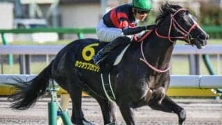 総額8億9000万円 クラシック登竜門・すみれSに豪華メンバー集結