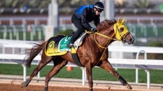 【サウジカップ】メイショウハリオが出走取消…岡田師「歩様に違和感」