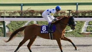 セキフウが右前浅屈腱炎で休養