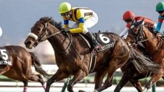 【チューリップ賞想定馬・騎手】ミラビリスマジック、ガルサブランカなど15頭