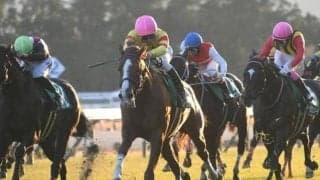 【オーシャンS想定馬・騎手】トウシンマカオ、ビッグシーザーなど24頭