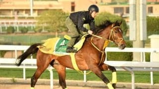 【今日の注目ポイント】深夜にサウジカップデー 日本馬が多数出走