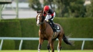 【すみれS】シュヴァルグラン産駒の希望の星 メリオーレムがクラシックに飛躍するか