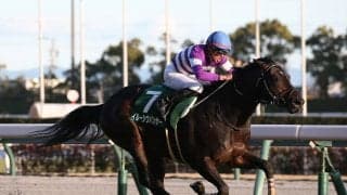中山記念で注目は「直近10年で４勝」のハーツクライ産駒２頭　人気薄だがチャンスあり
