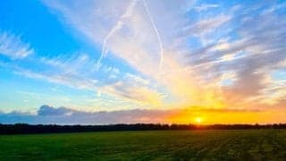 ジュースを選んでくれる馬の動画が話題…引退競走馬の魅力を発信