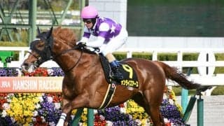 【すみれS結果】7番人気サンライズアースが無傷の2連勝