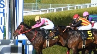 【仁川S結果】ダイシンピスケスが押し切り3連勝