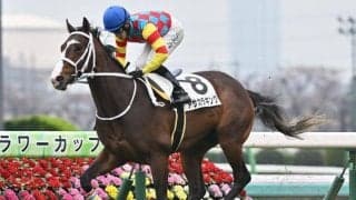 【阪急杯予想】勝ち馬は名門牧場から!? 前走二桁人気馬の好走も要注意