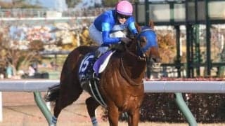 【サウジC最新オッズ】日本勢ではレモンポップらが支持集める 米国のホワイトアバリオが1番人気