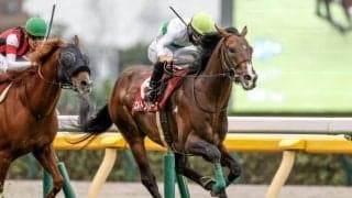 【中山記念前日オッズ】エルトンバローズが3.2倍で1番人気