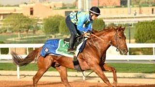 【サウジCデー見どころ】日本から6競走に計21頭が参戦 メインは1着賞金約15億円のサウジC