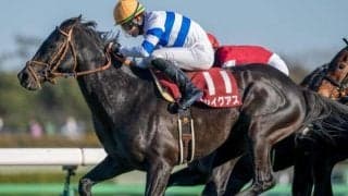 中山芝は内有利＆パワー重視 条件揃ったヒシイグアスを狙い撃ち