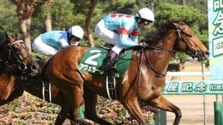 アヴェラーレの競走馬登録抹消、繁殖入り