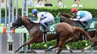 セキフウが引退、種牡馬入り