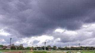 2月24日の出来事一覧/中山・阪神・小倉