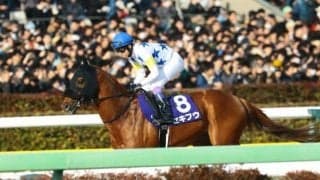 フェブラリーSで3着好走のセキフウが引退 アロースタッドで種牡馬入り